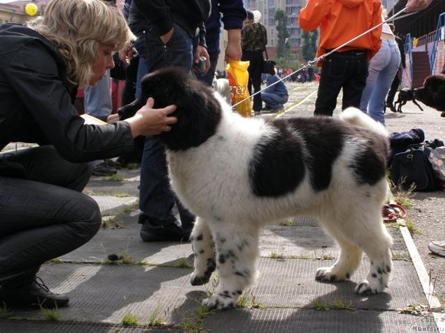 Фотография № 17796