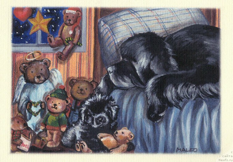 Фотография № 177960