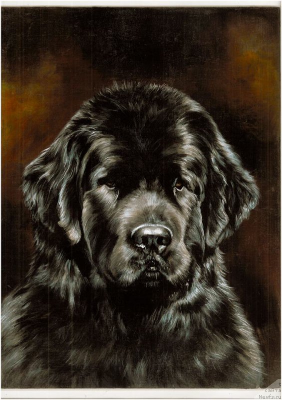 Фотография № 177963