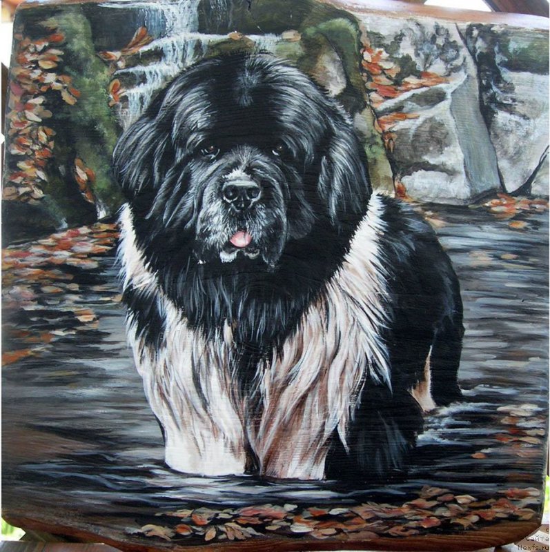 Фотография № 177964