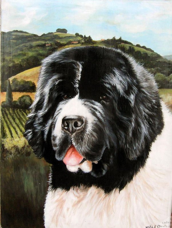 Фотография № 177966