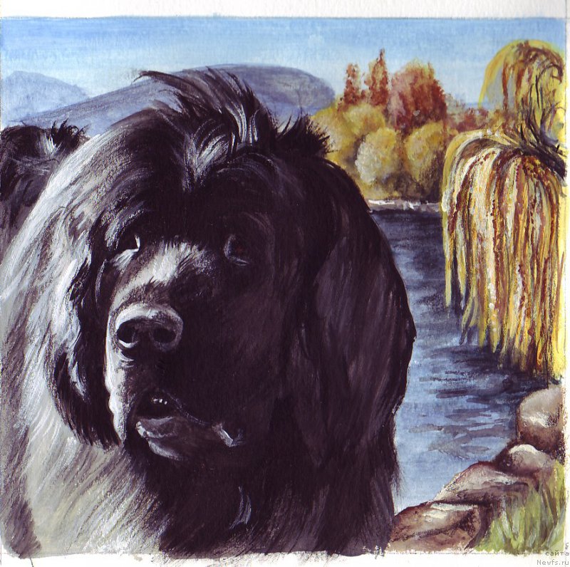 Фотография № 177967