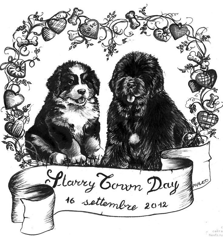 Фотография № 177968