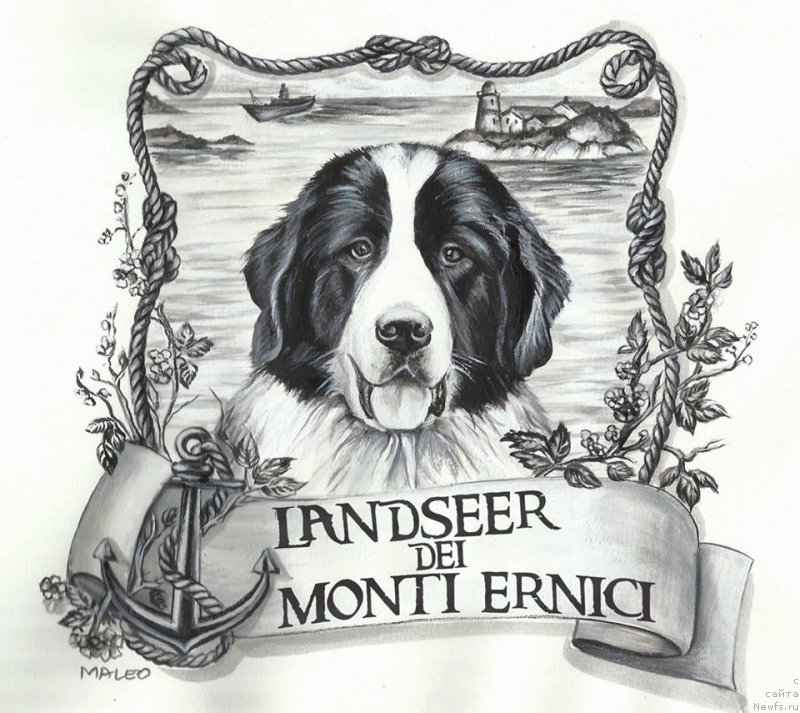 Фотография № 177977