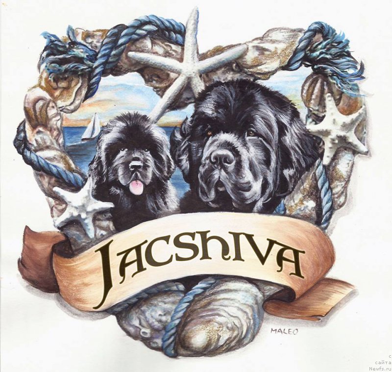 Фотография № 177978