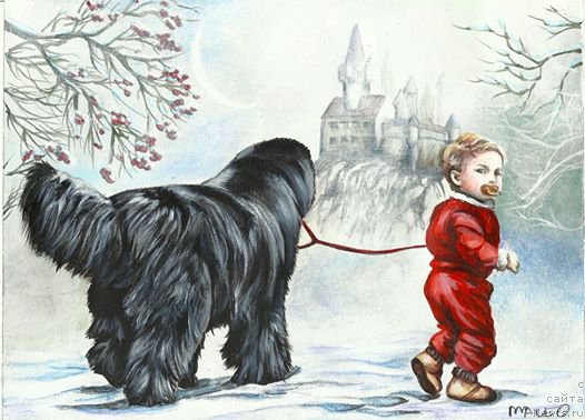 Фотография № 177979