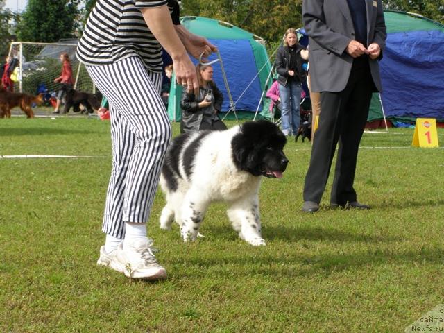 Фотография № 17798