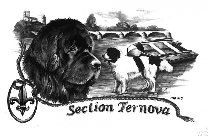 Фотография № 177980