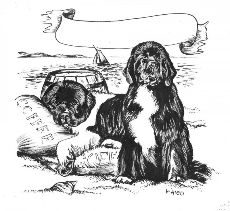 Фотография № 177982