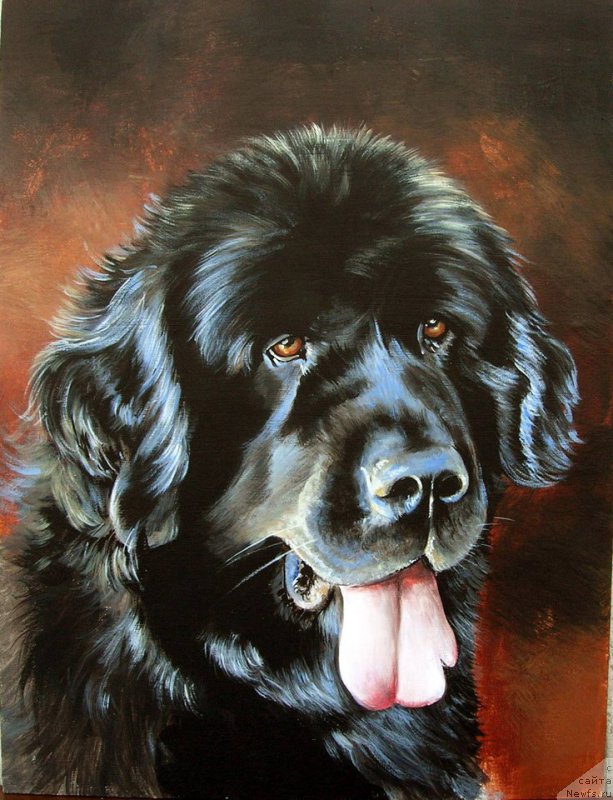 Фотография № 177985