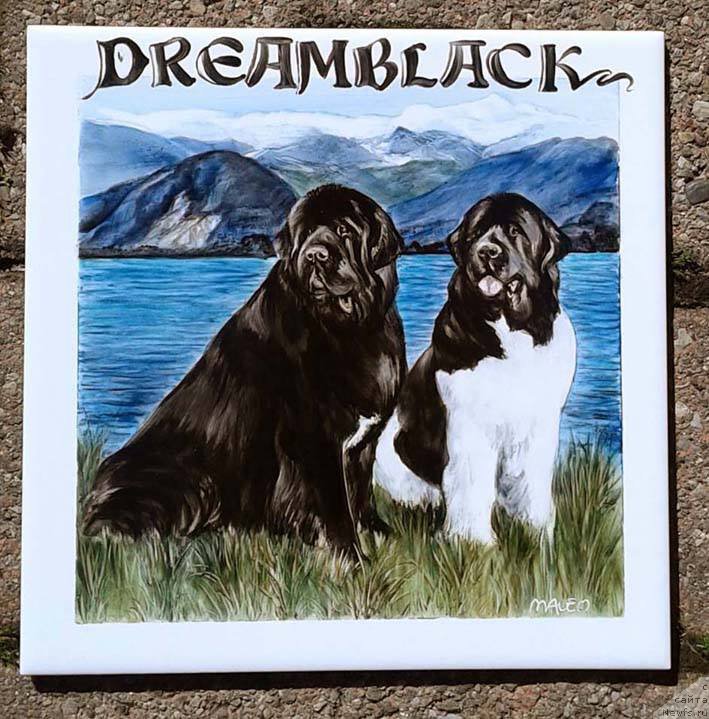 Фотография № 177988