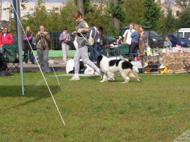 Фотография № 17799