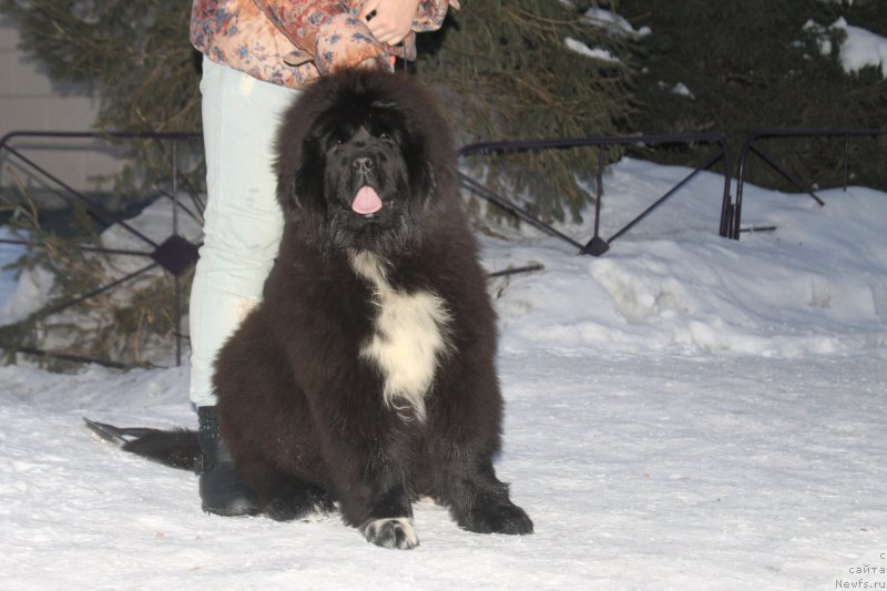 Фотография № 178013