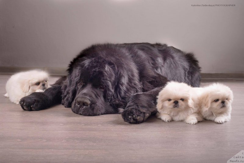 Фотография № 178015