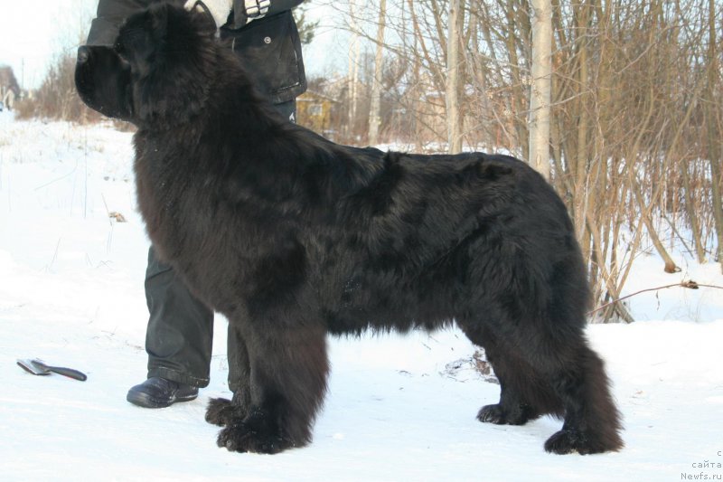 Фотография № 178028