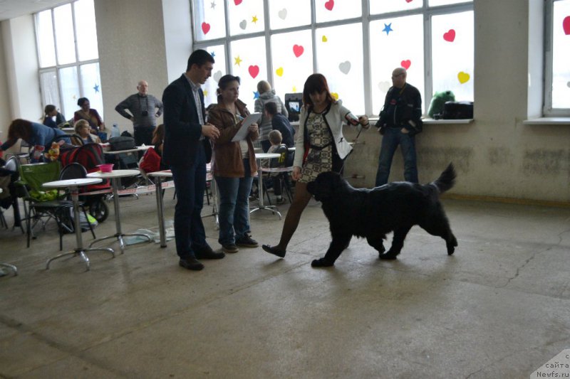 Фотография № 178052