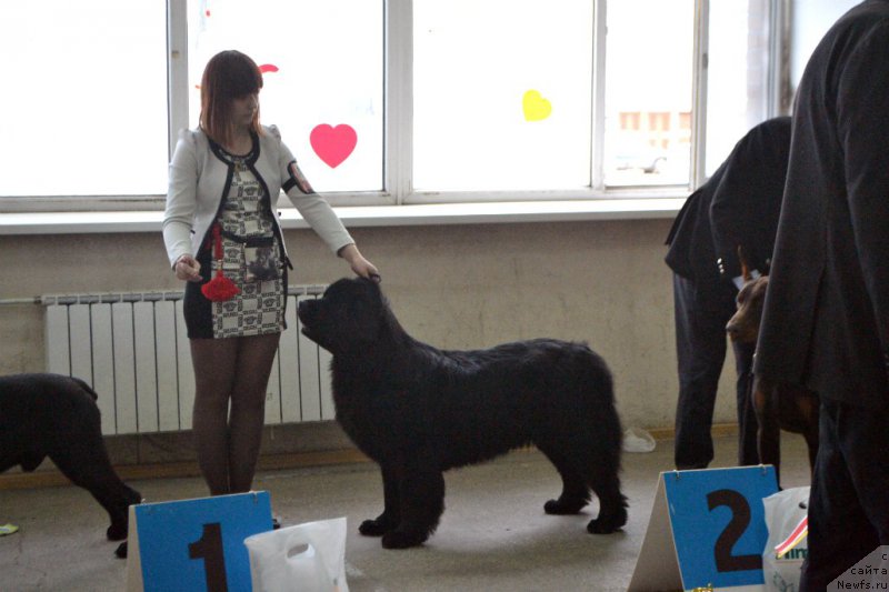 Фотография № 178054