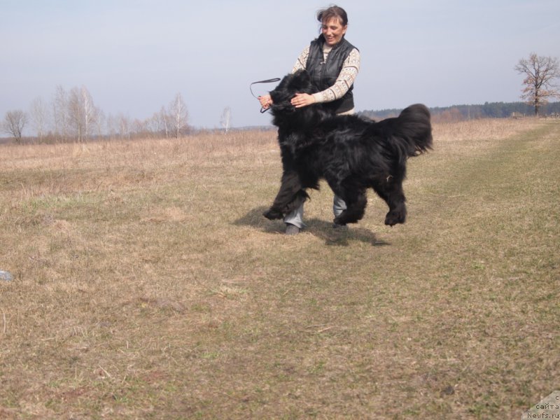 Фотография № 178057