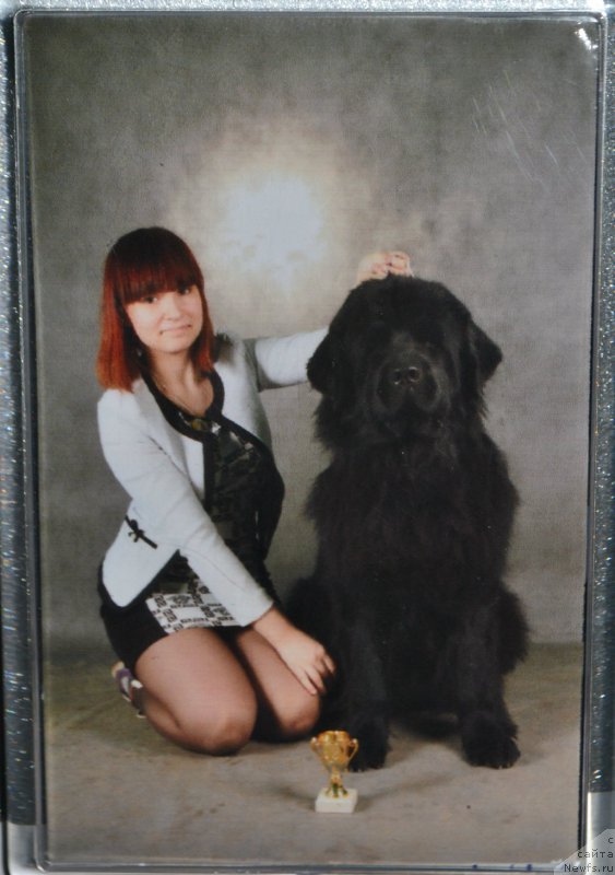 Фотография № 178059