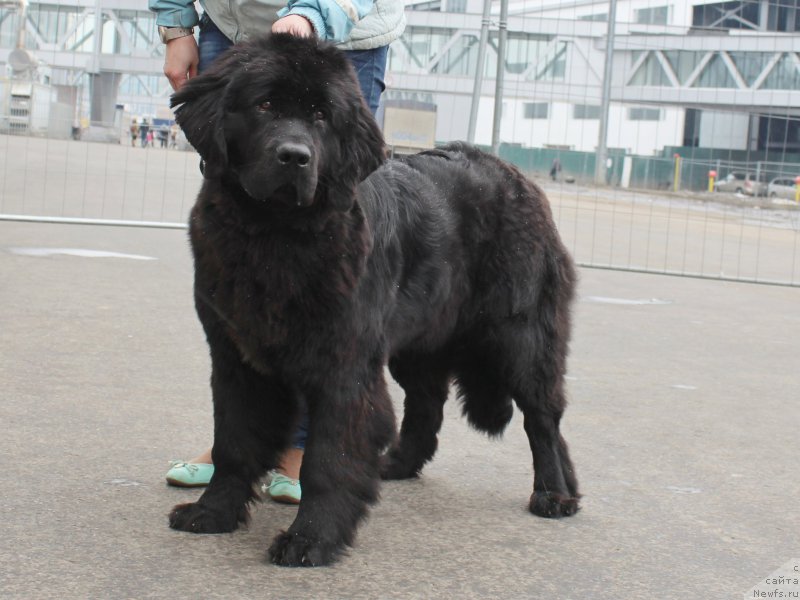 Фотография № 178063