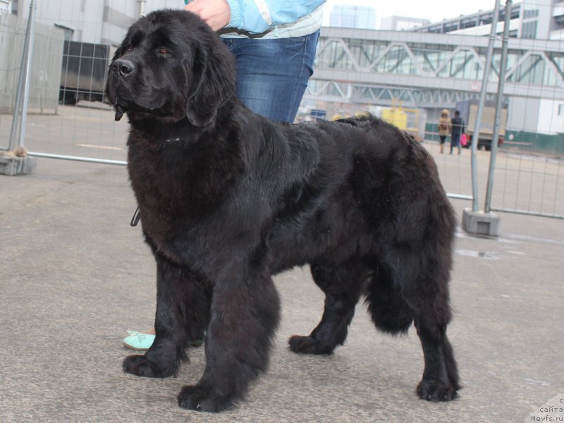 Фотография № 178064