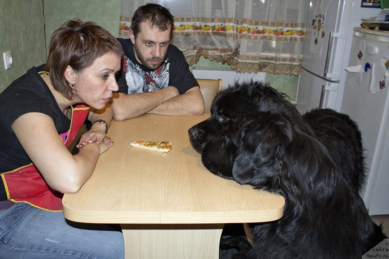 Фотография № 178069