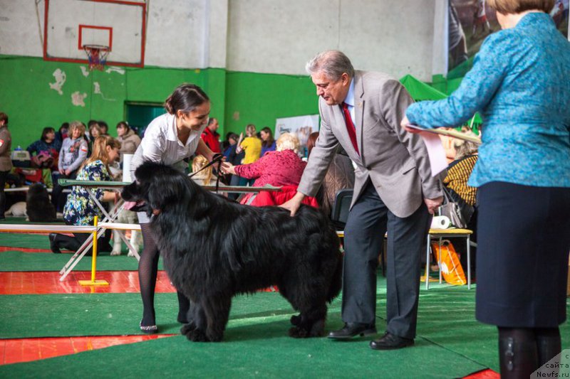 Фотография № 178100