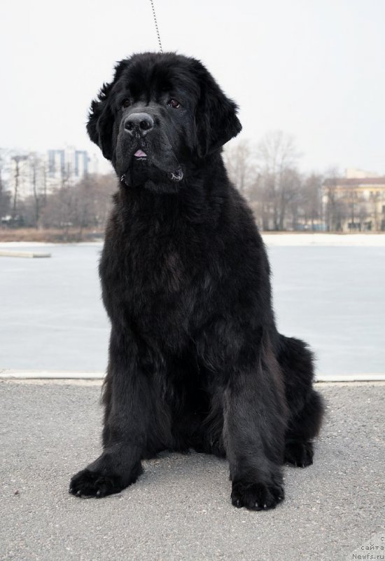 Фотография № 178102