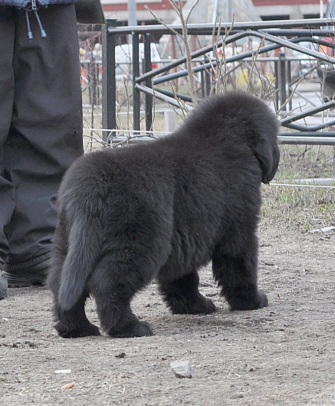 Фотография № 178110