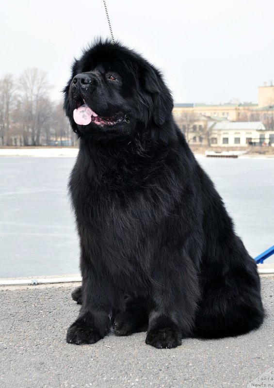 Фотография № 178114