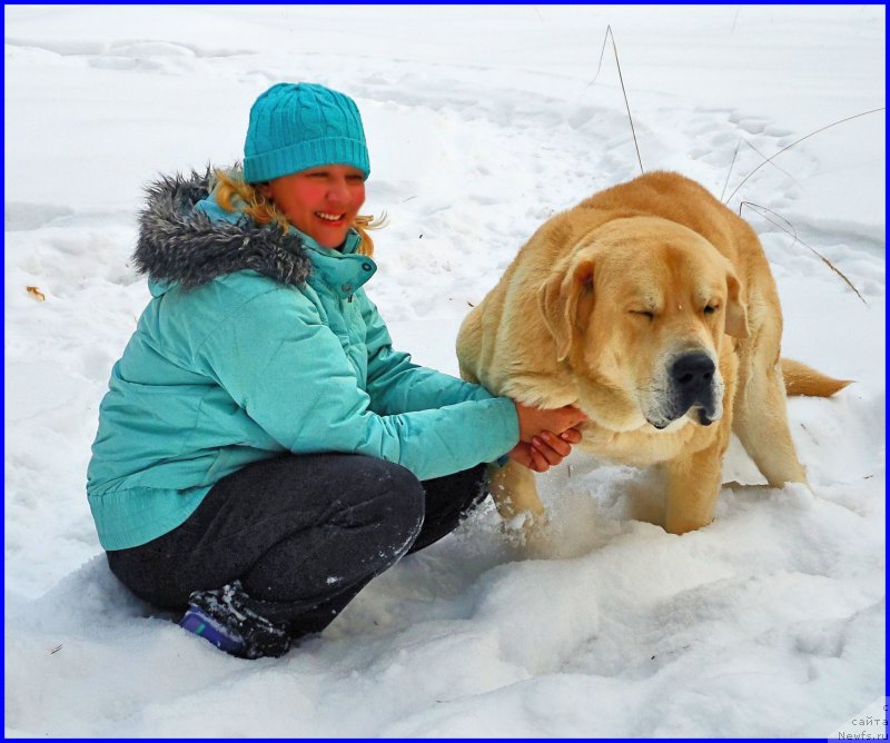 Фото: Lena Zyirina (Лена Зырина), ФРАНКО