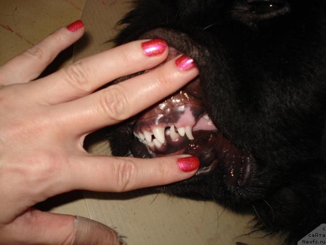 Фотография № 17813