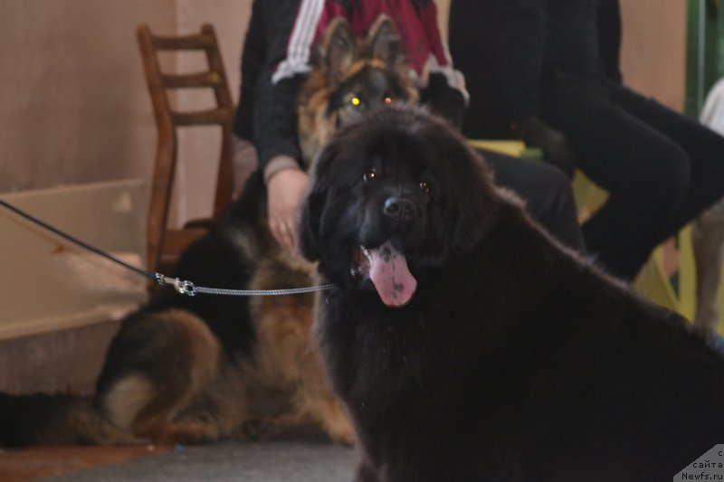 Фотография № 178132