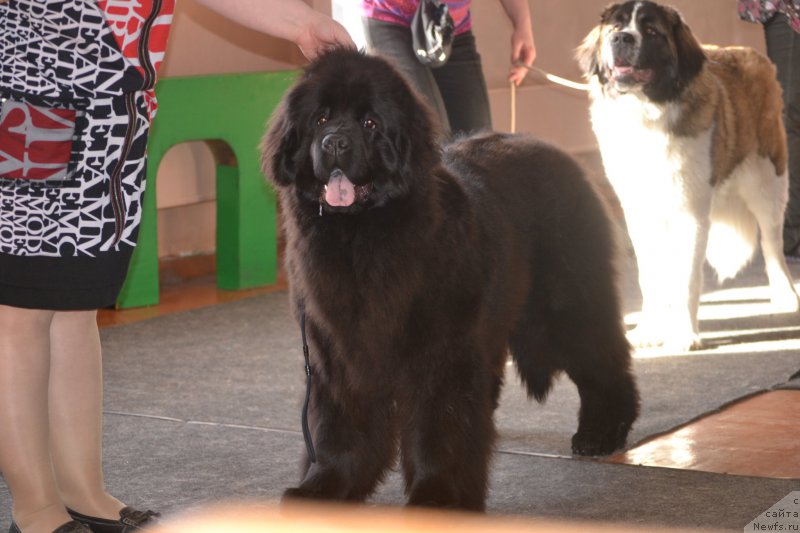 Фотография № 178133