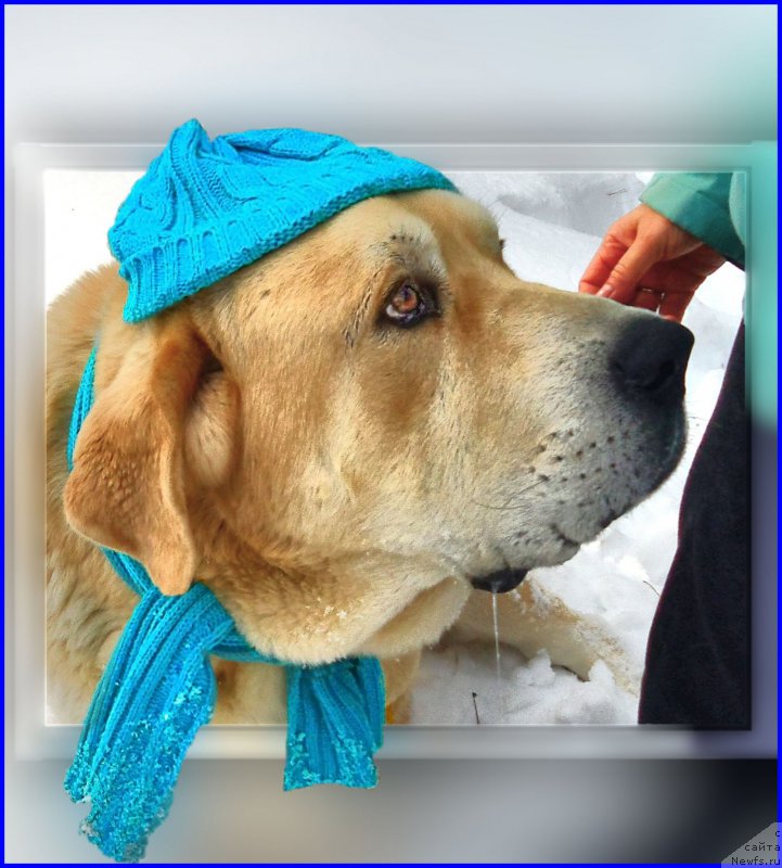 Фото: Lena Zyirina (Лена Зырина), ФРАНКО