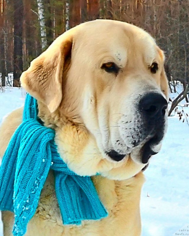 Фото: Lena Zyirina (Лена Зырина), ФРАНКО
