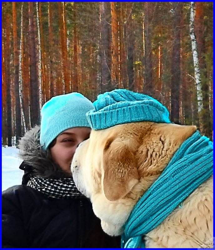 Фото: Lena Zyirina (Лена Зырина), ФРАНКО, САША