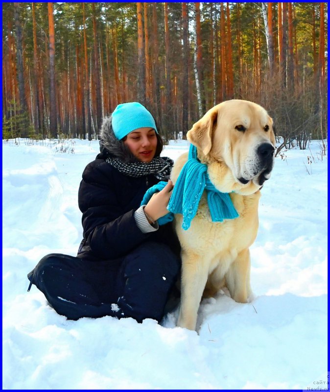 Фотография № 178148