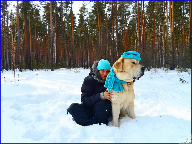 Фотография № 178149