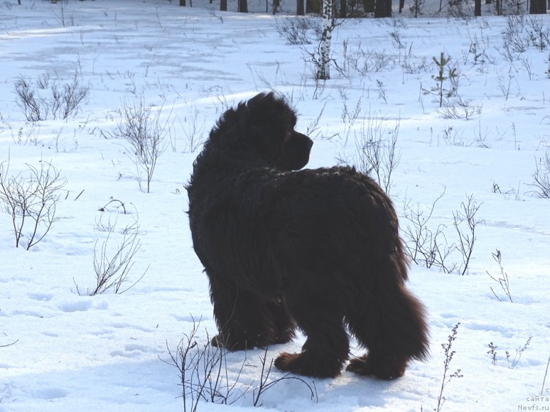 Фотография № 178163