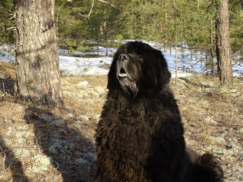 Фотография № 178164