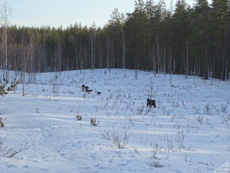 Фотография № 178168