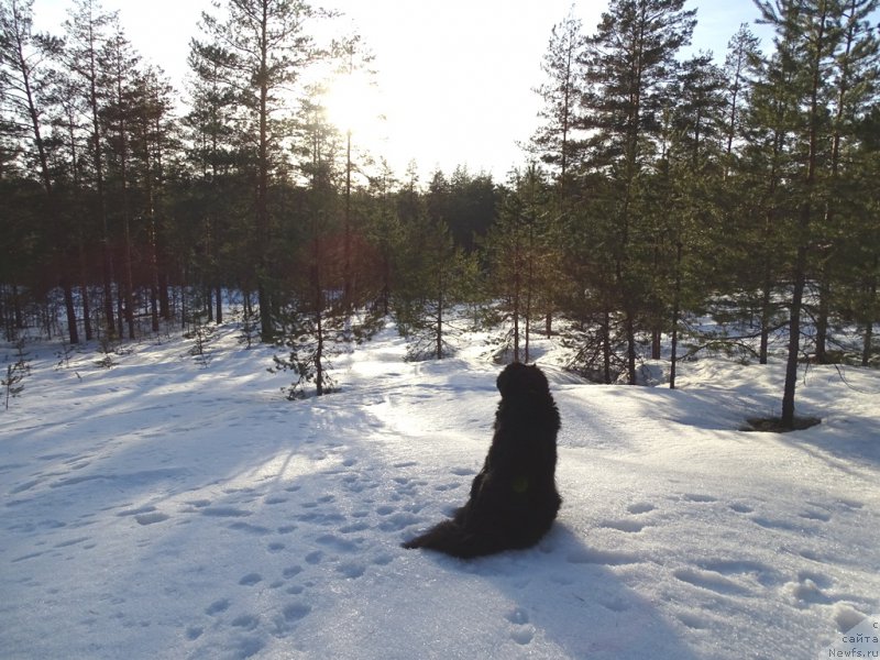 Фотография № 178170