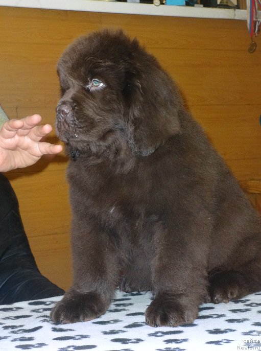 Фото: [d10975] сын