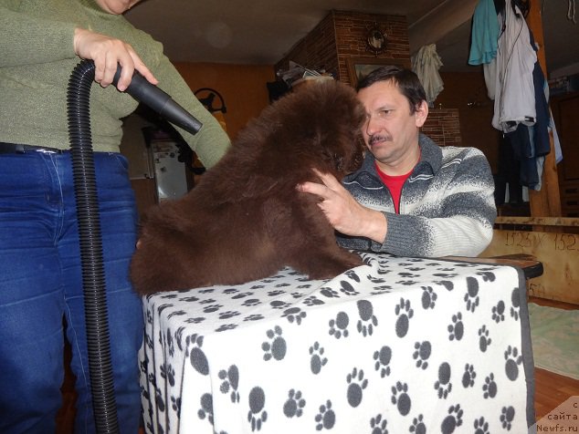 Фото: Svetlana Panchenko (Светлана Панченко), Алексей -родители.