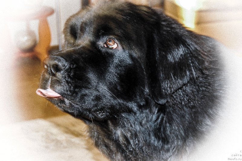 Фотография № 178205