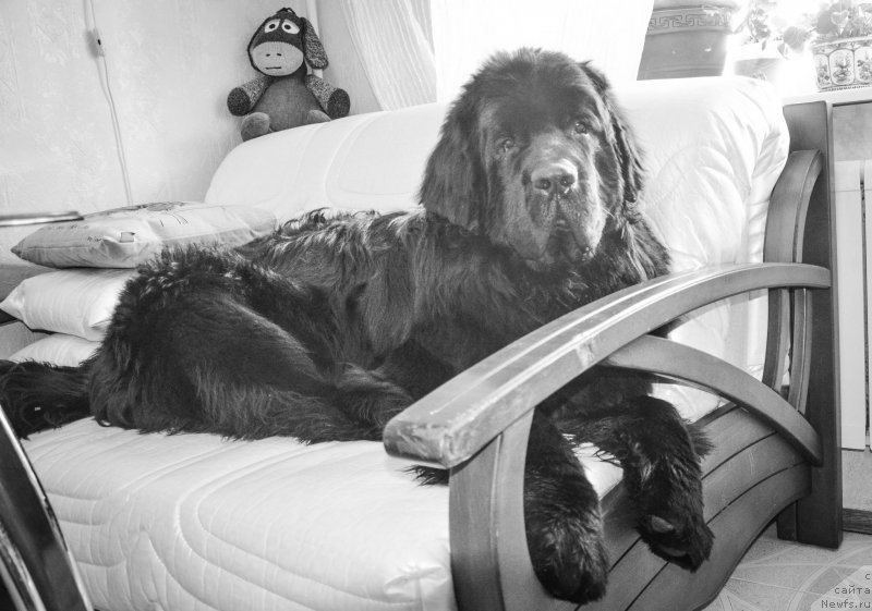 Фотография № 178208