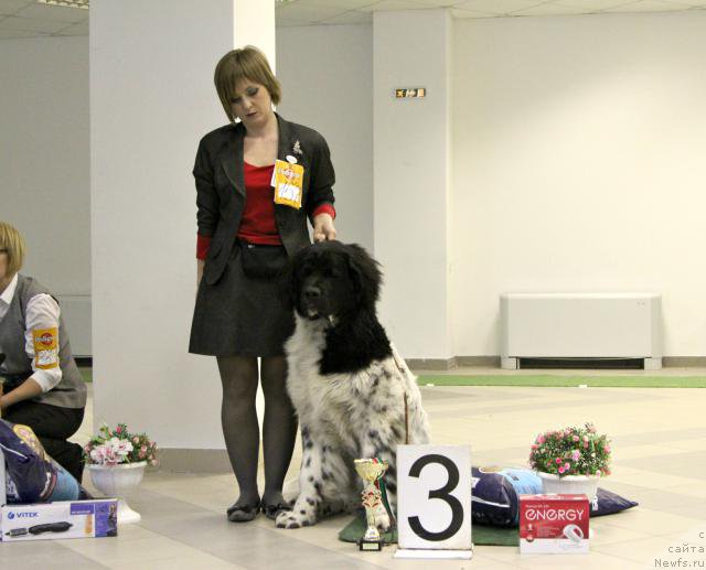 Фотография № 178214