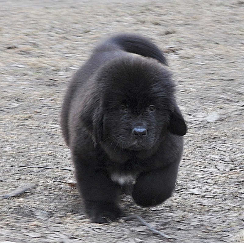 Фотография № 178218