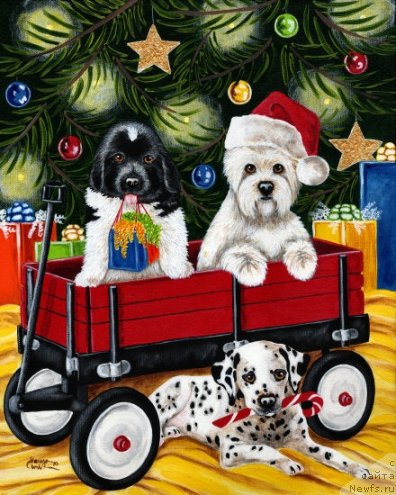 Фотография № 178221